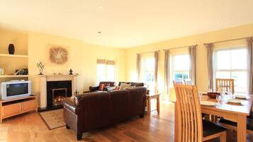 TV, fireplace, DVD player, books