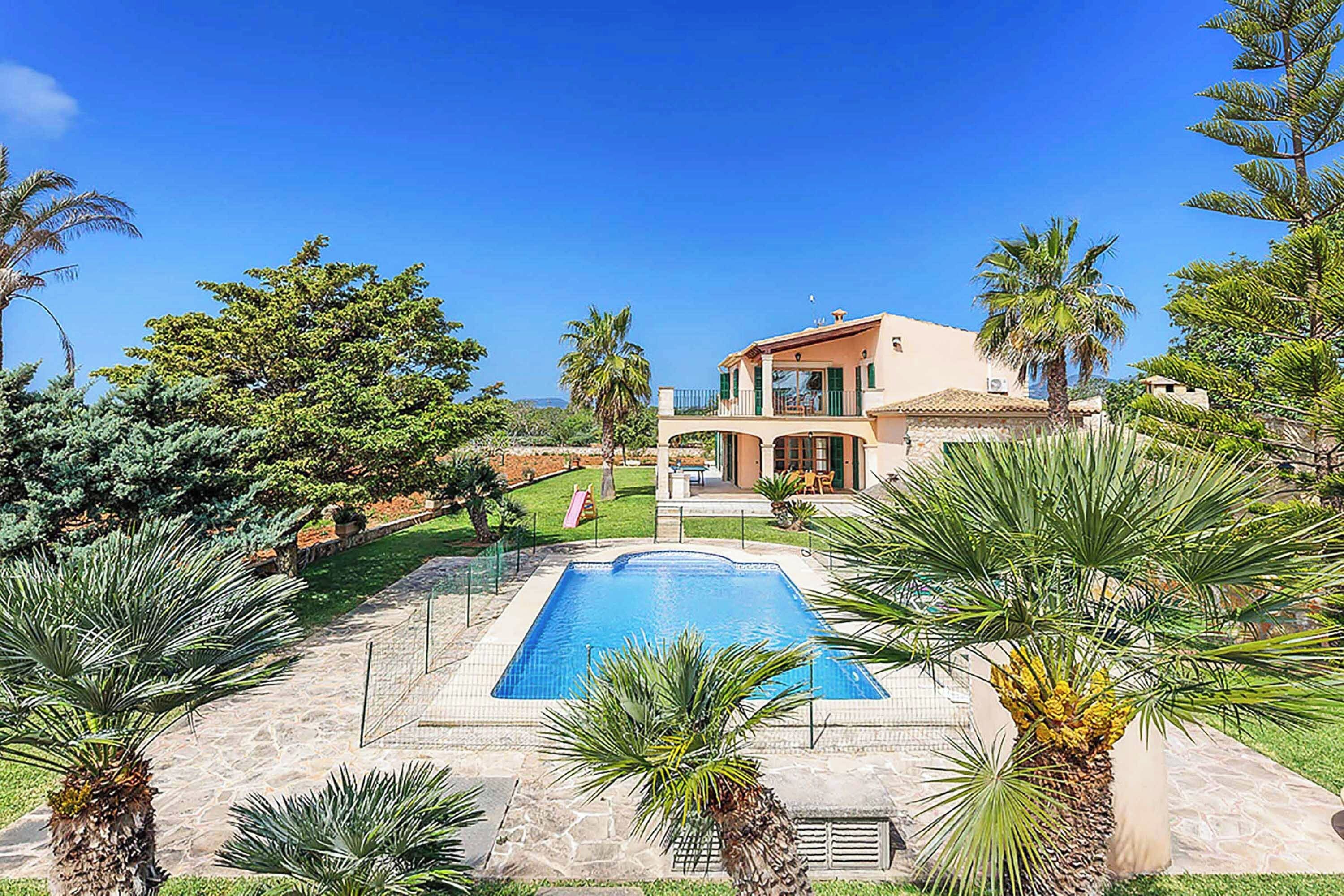 Une maison moderne avec une piscine, entourée de palmiers et d’une pelouse bien entretenue.