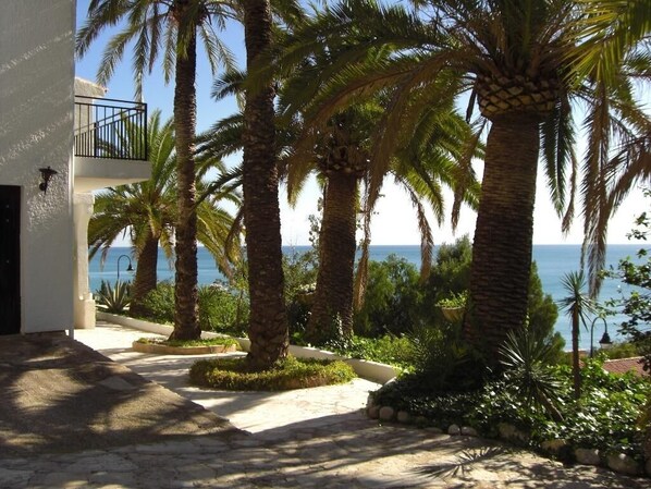 Property grounds - Campomanus, Altea, Altea (Altea)