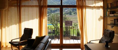 TV, fireplace, books, stereo