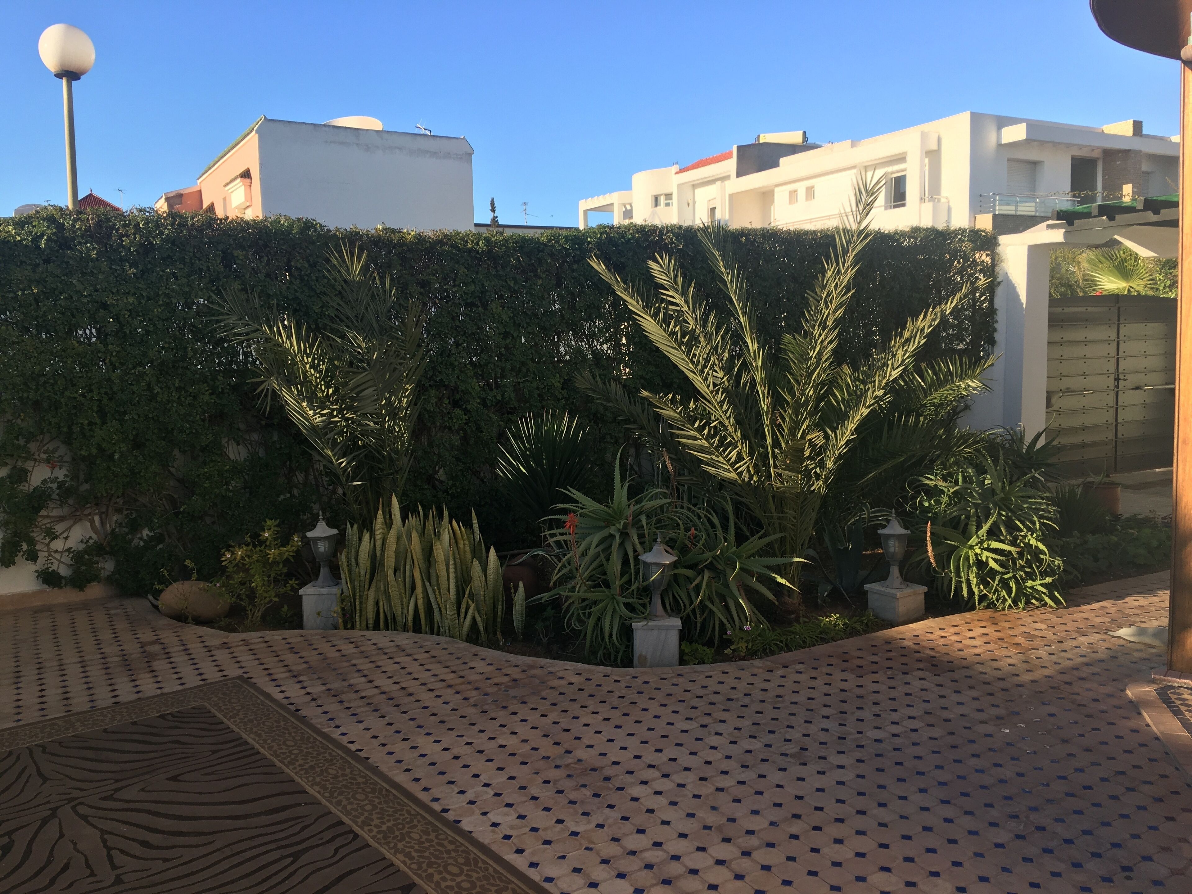 Biệt thự | Quang cảnh vườn