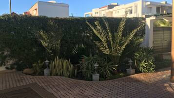 Biệt thự | Quang cảnh vườn