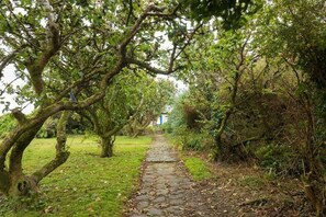 A stone pathway surrounded by trees and greenery.