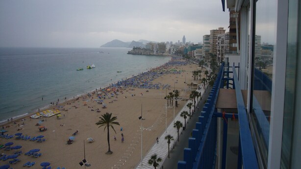 A beach with rows of sun loungers and umbrellas, a promenade with palm trees, and a cityscape in the background. - LAS PALMERAS (STUDIO) BENIDORM (Benidorm)