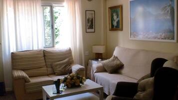 Una televisión, una chimenea, un reproductor de DVD, libros