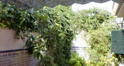 FANTASTISCH FÜR FAMILIEN