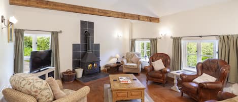 Televisión, chimenea