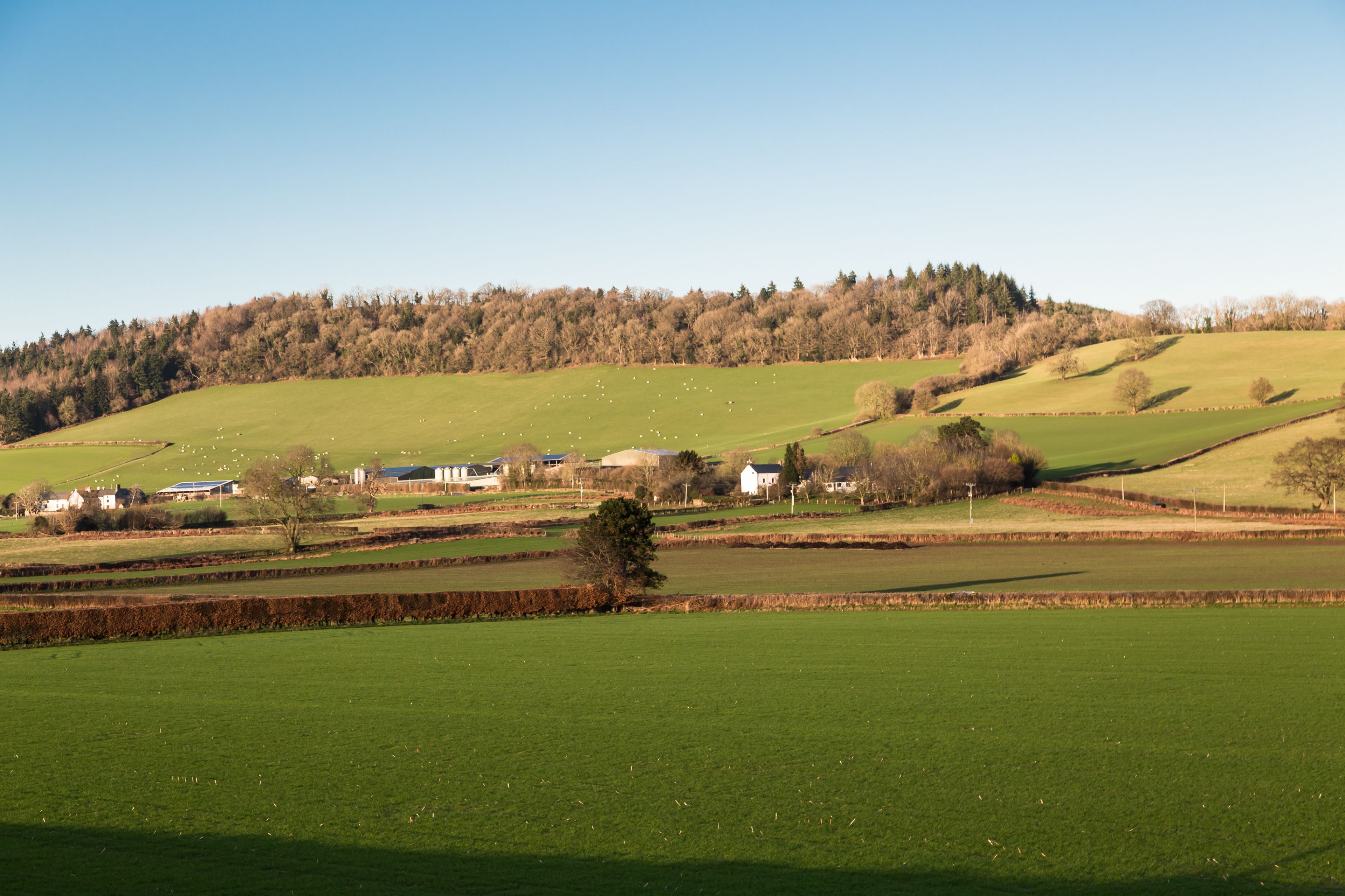 Un paysage rural caractérisé par des collines douces, un ciel dégagé et des bâtiments dispersés.