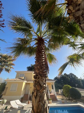 Alberca