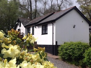 Property grounds - Romantic 1 bedroom cottage in beautiful Devon countryside, indoor pool, sauna (Tiverton)