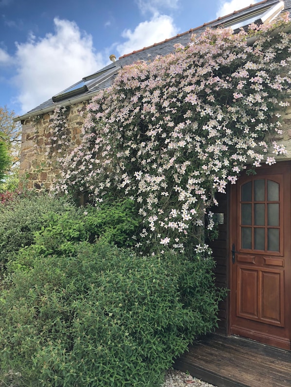 A stone building with a wooden door and a large flowering vine covering part of the wall.