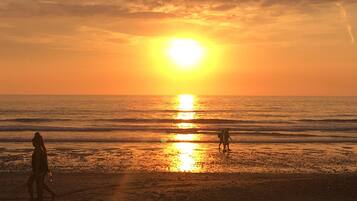 Playa en los alrededores