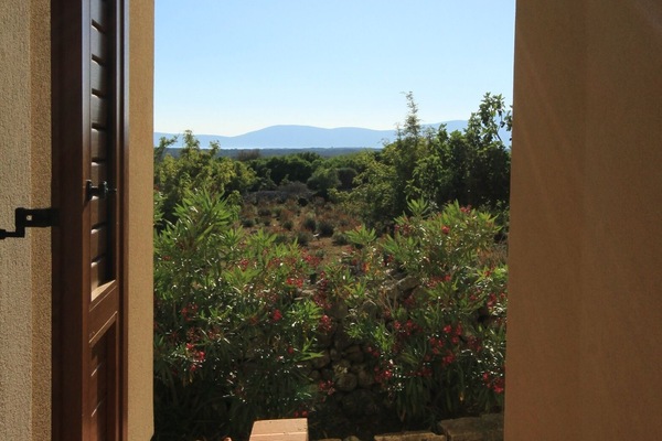 Terrace 2