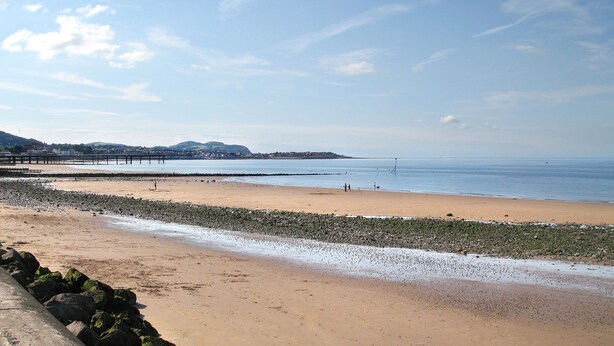 Unclassified image, 1 of 20, button - Bryn Rhydd, Bodnant Estate, Colwyn Bay , Conwy, Wales (Bodnant Estate, Colwyn Bay)