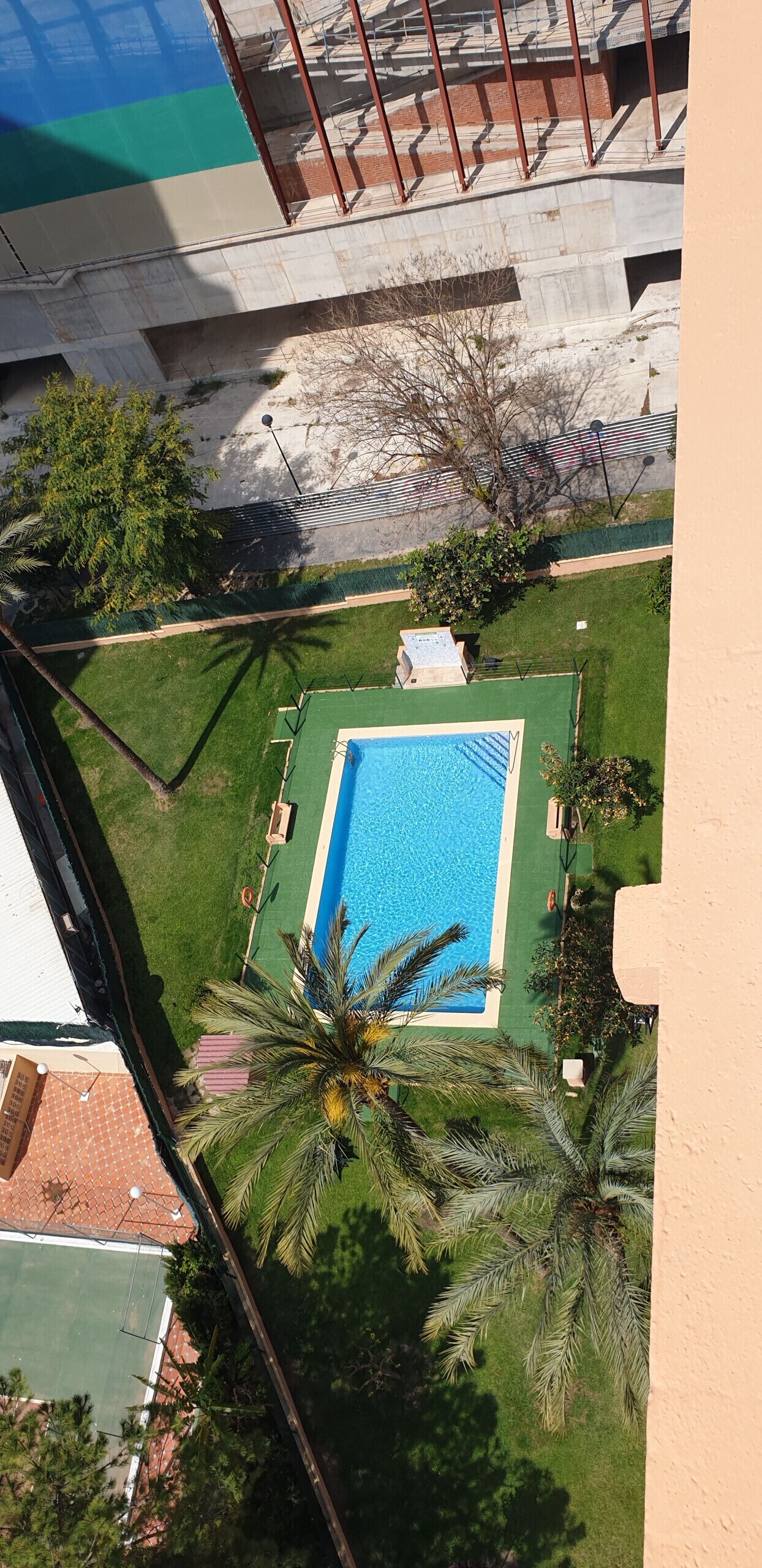 An aerial view of a swimming pool surrounded by a well-maintained lawn and palm trees.