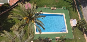 An aerial view of a rectangular pool with a surrounding green lawn, a palm tree, and a small shed. - ALHAMBRA (1Bedroom) (Benidorm)