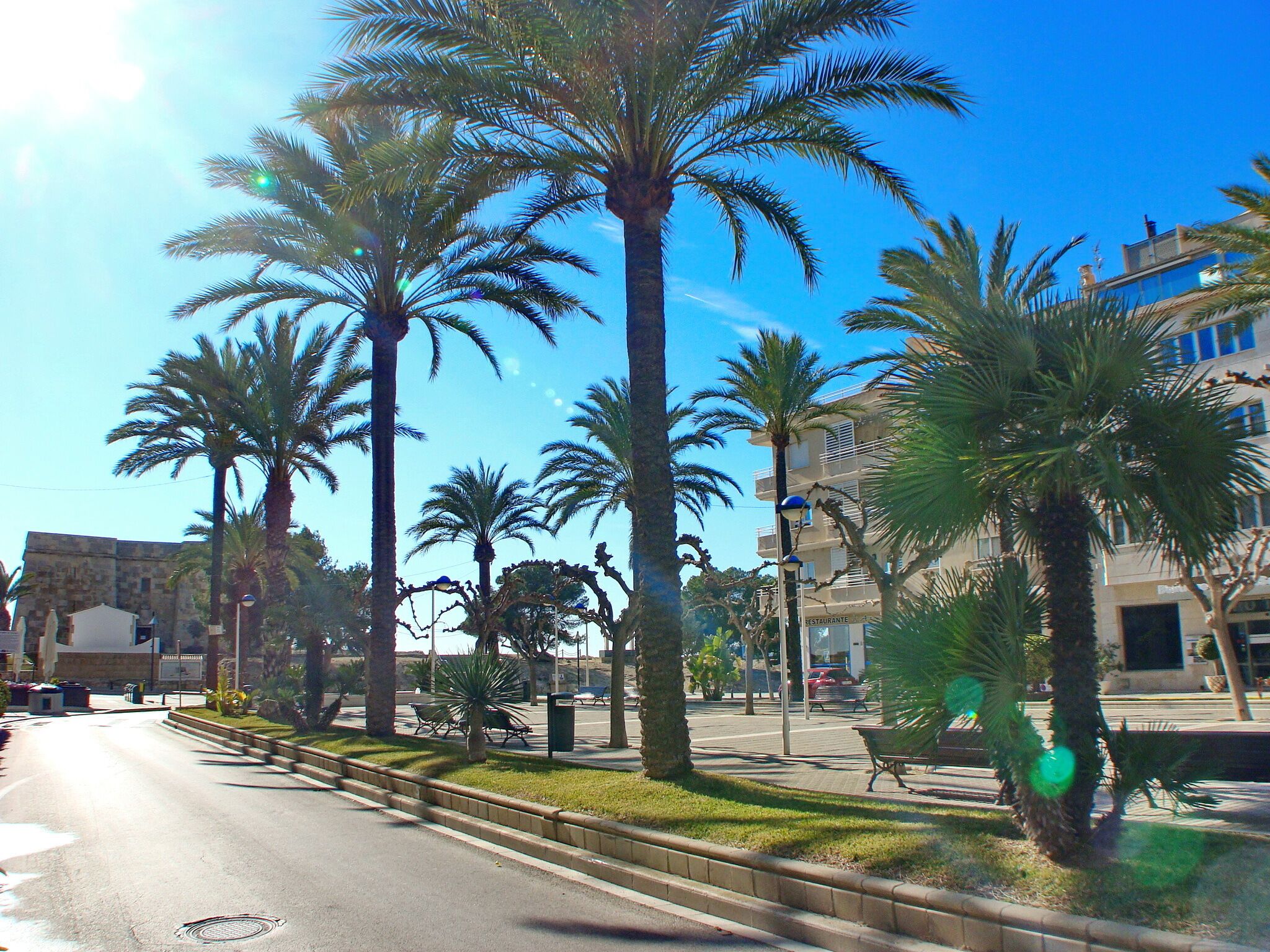 A street lined with palm trees and a building with a sign that reads "RESTAURANT".