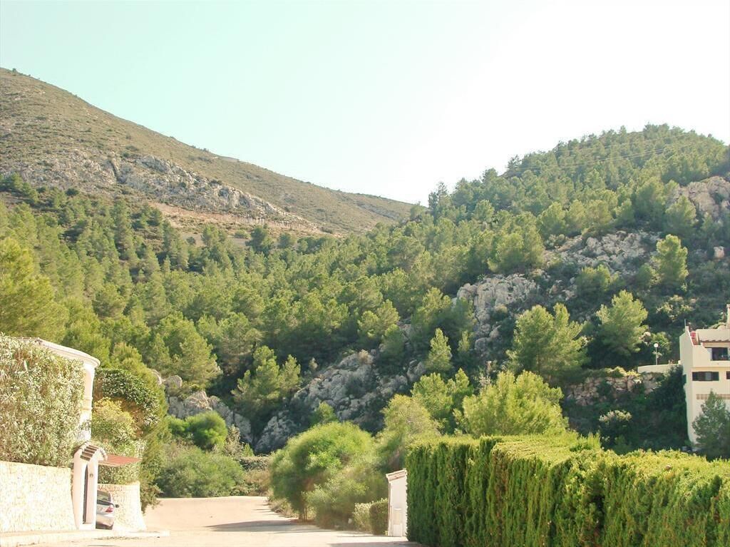 A residential area with a paved driveway leading to a house surrounded by lush greenery and hills in the background.