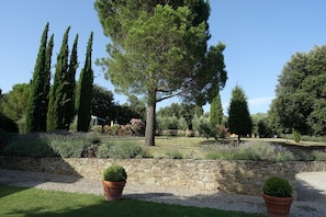 Stroll through the tranquil garden surrounded by tall cypress and pine trees, with a stone wall and potted plants along the winding path.