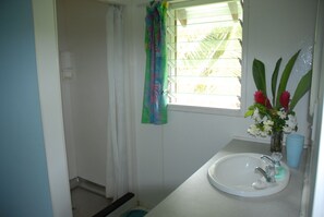Shower - Ginas Garden Lodges, Aitutaki - 4 self contained lodges in a beautiful garden (Aitutaki Island)