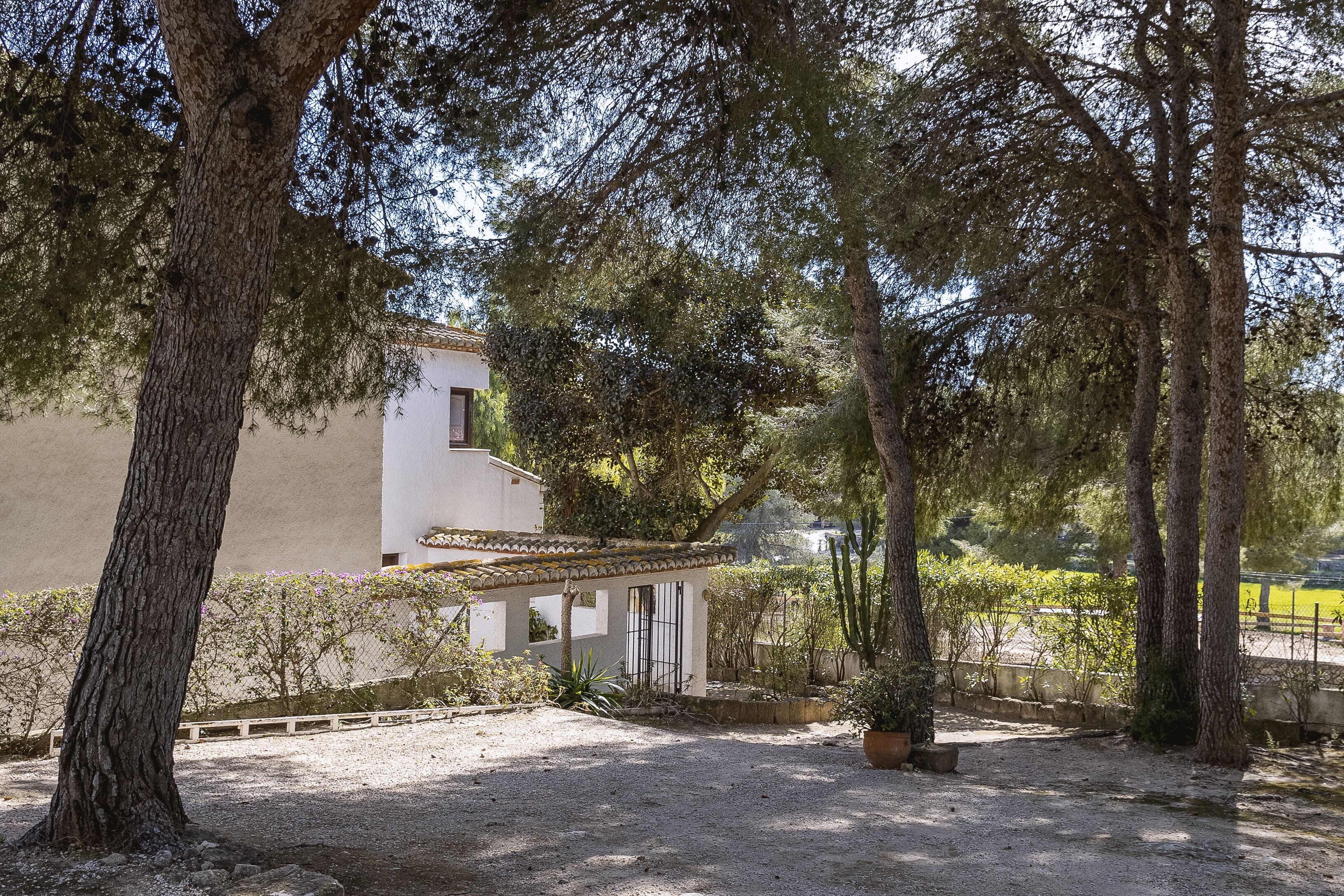 A courtyard with a white building, trees, and a gravel path.