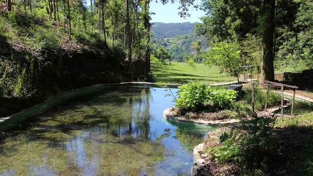 A serene river with clear water, surrounded by lush greenery and trees. - Nature, the Douro, and Porto in an Exclusive Villa (Gondomar)