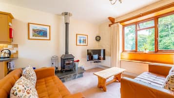 TV, fireplace, DVD player, video library