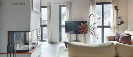 TV, fireplace, DVD player