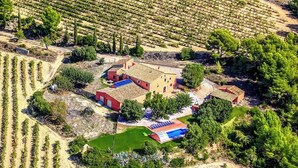 An aerial view of a vineyard with rows of grapevines, a red building with a tiled roof, and a small white structure. - Country Chateau for 22 persons - close to Sitges! (Castellet i la Gornal)