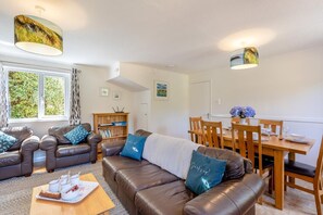 TV, fireplace - 3 Bed in Braunton (oc-salar) (Georgeham)