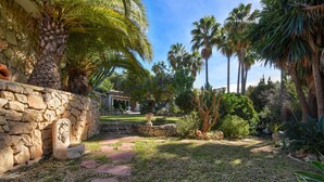 Ein Garten mit Palmen, einer Steinmauer und einem Weg.