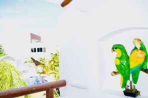 Property grounds - Deluxe Budget Balcony Room With Swimming Pool Air Conditioning and Parking (Playa del Carmen)