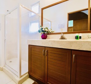 Combined shower/bathtub, free toiletries, towels