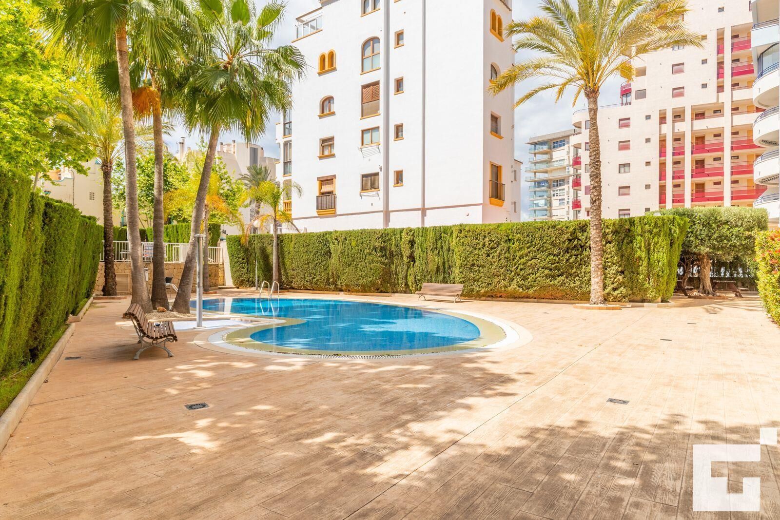 A swimming pool surrounded by palm trees and a hedge, with a bench and a building in the background.