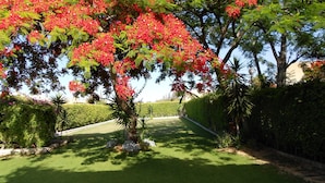 Un jardin bien entretenu, avec une variété d’arbres, dont un arbre aux fleurs rouge vif, et un arbuste taillé avec soin le long du chemin.