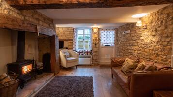 Älytelevisio, takka, DVD-soitin, kirjoja