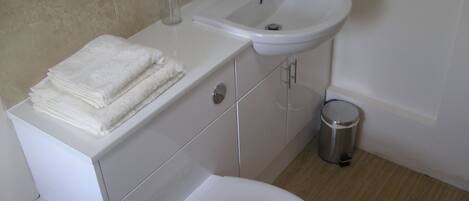 A bathroom with a sink, toilet, and a trash bin.