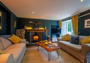 TV, fireplace