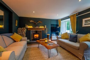 TV, fireplace, stereo - 2 Bed in Lynton (oc-trelyn) (Lynmouth)
