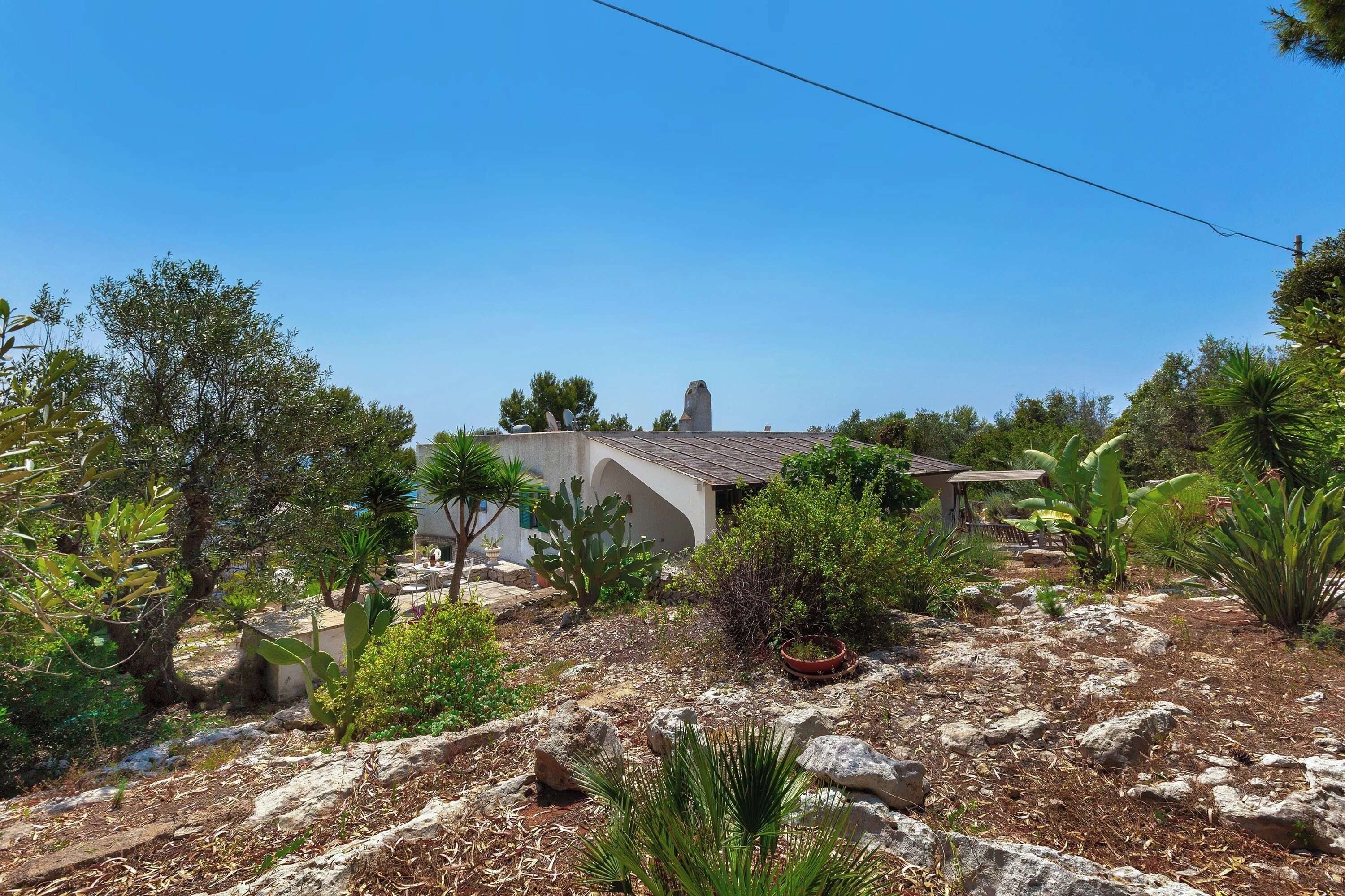 A garden with various plants and rocks, a building with a tiled roof, and a clear blue sky.