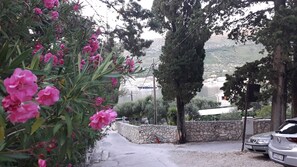 Área da propriedade