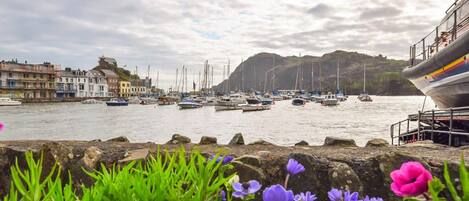 A harbor with boats, a rocky shoreline, and buildings in the background.