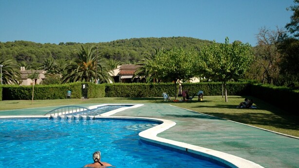 Une piscine à bord incurvé, entourée d’une pelouse verdoyante et d’arbres.