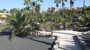 Un sentier pavé, bordé de palmiers et entouré d’une zone rocheuse.