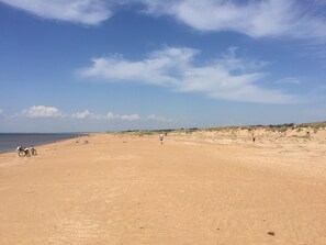 Playa