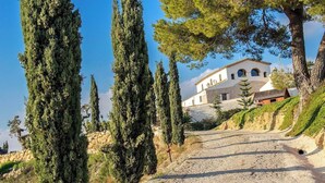 A gravel path leading to a white building with arched windows, surrounded by tall cypress trees.