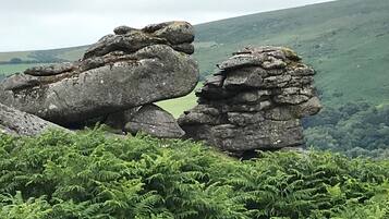 A natural landscape with rock formations and dense ferns.