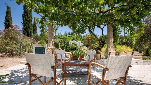 Un patio con cuatro sillas de madera y una mesa, rodeado de follaje y árboles.