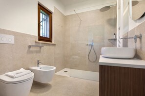 Shower, hair dryer, bidet, towels