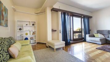 TV, fireplace, DVD player, books